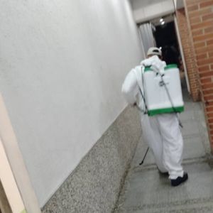 fumigacion en Valencia - Carabobo - fumigaciones